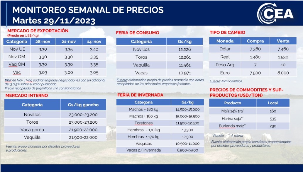 Martes 29/11/2023