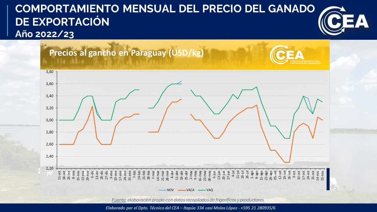 Martes 21/11/2023