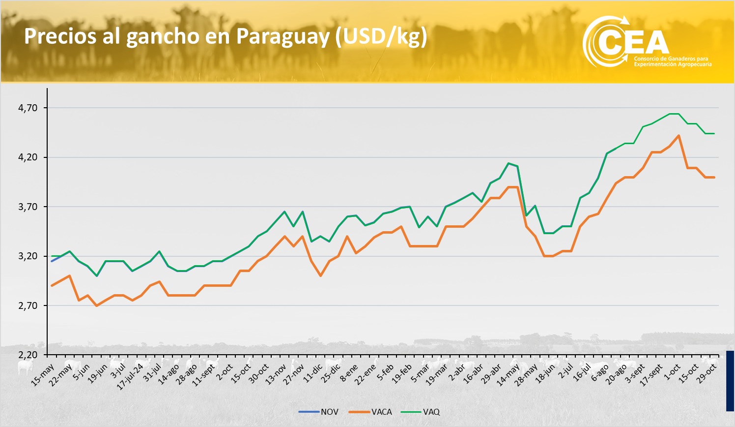 Miércoles 29/10/2025