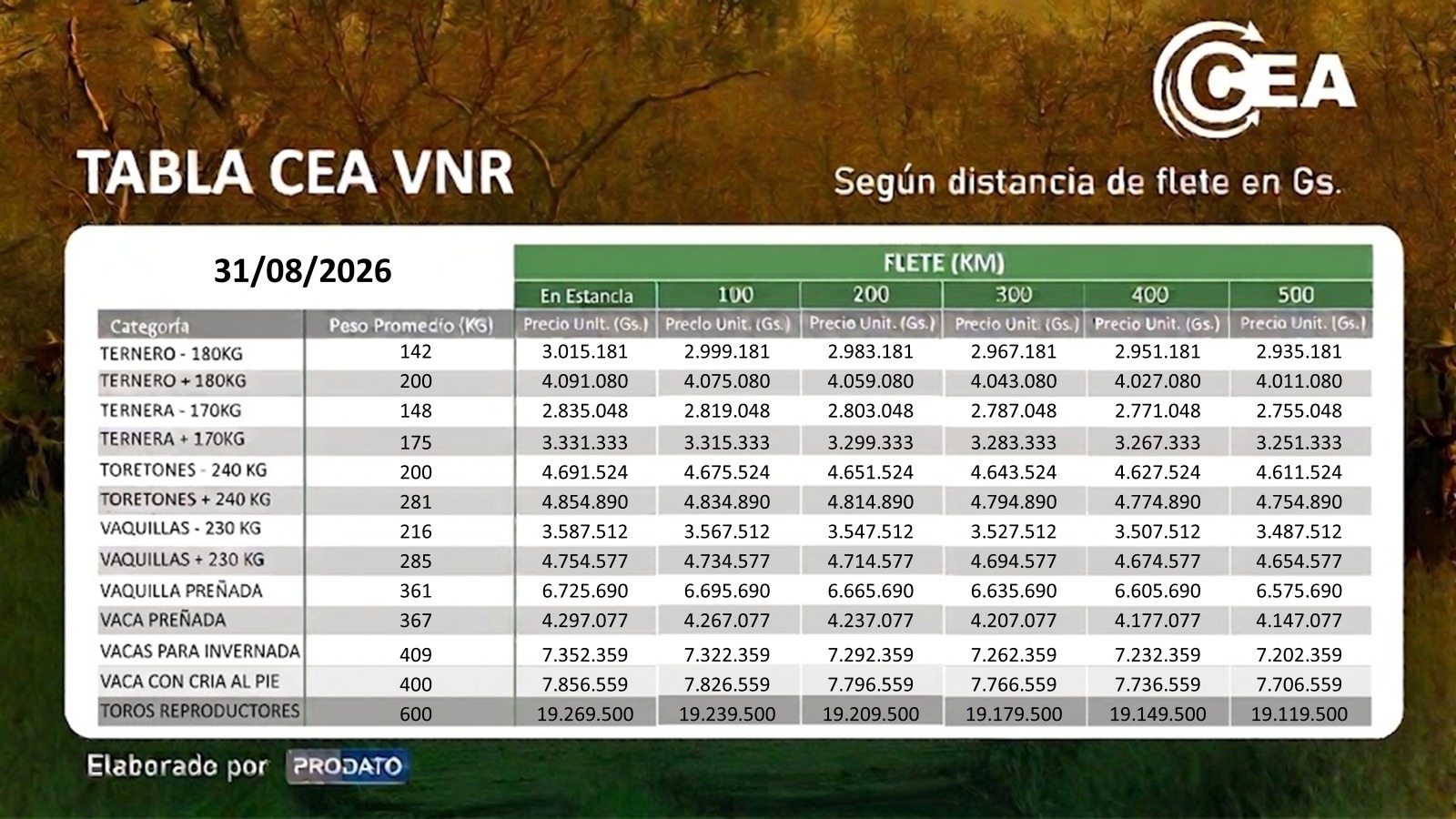 TABLA CEA VNR